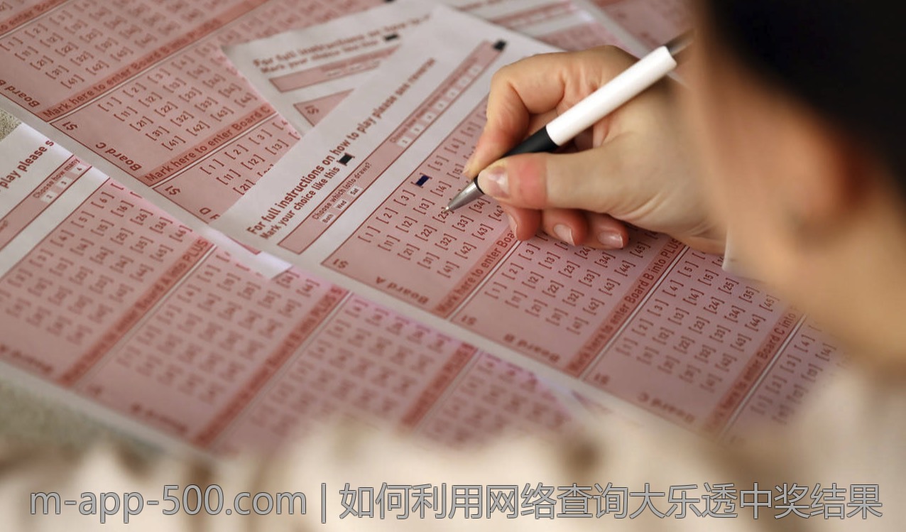 如何利用网络查询大乐透中奖结果